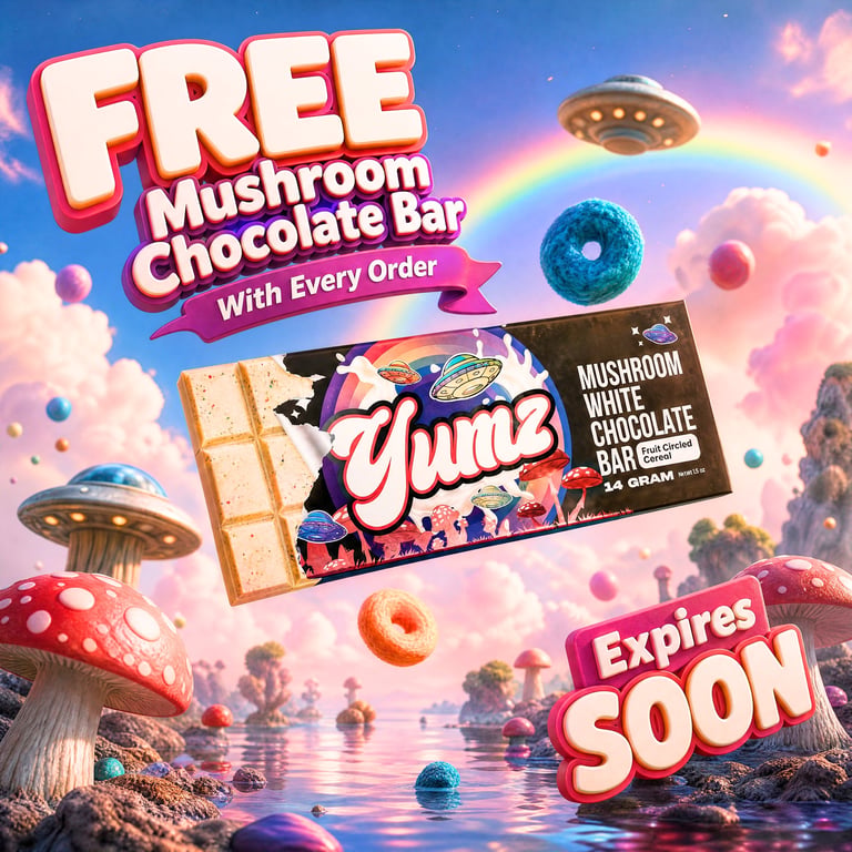 Promotional poster for free mushroom chocolate bar offer with every order. Features whimsical fantasy landscape with UFOs, mushrooms, and colorful elements. Offer expires soon.