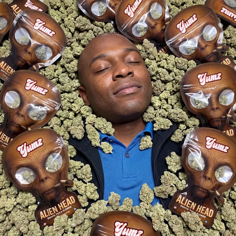 Person in blue shirt lying on cannabis buds surrounded by branded Alien Head cannabis packaging